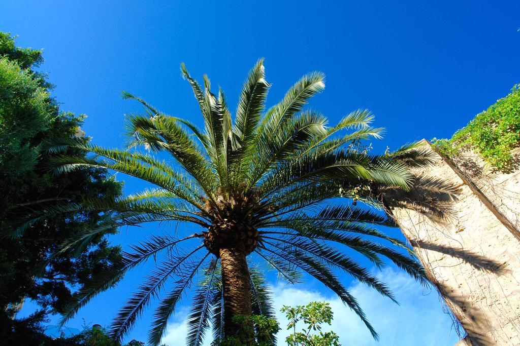 Holiday home Ca'n Perlita Palma de Mallorca